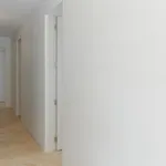 Se *